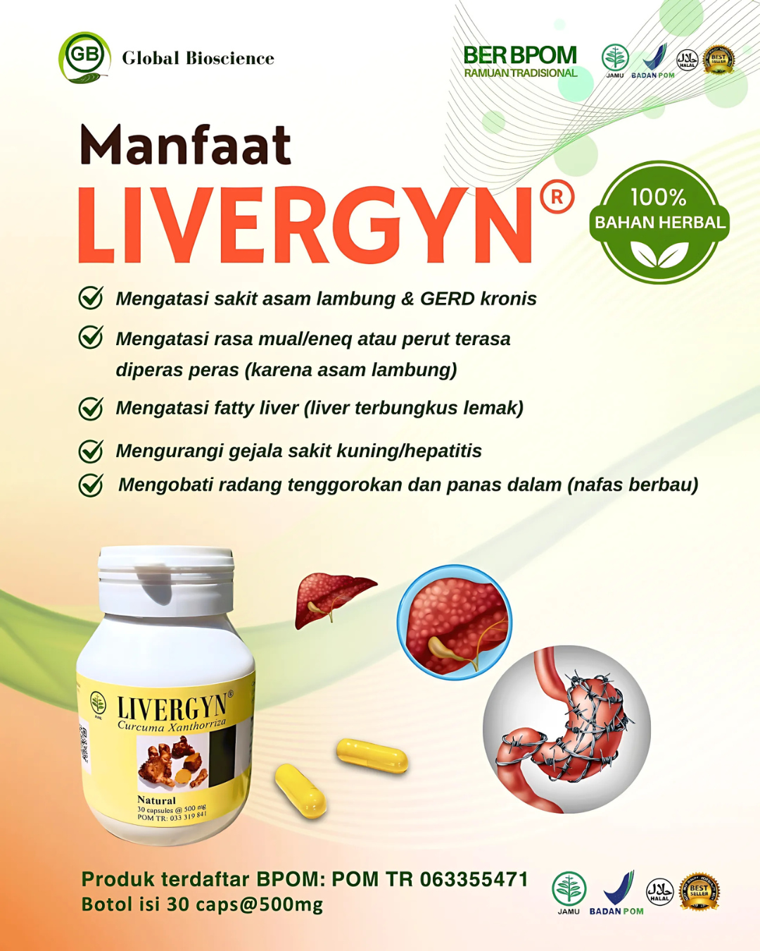 Manfaat Livergyn untuk kesehatan lambung dan hati - BPOM terdaftar